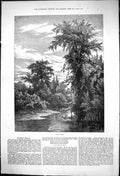 Original Old Antique Print 1875 Salmon Brook Fishing Connecticut River America