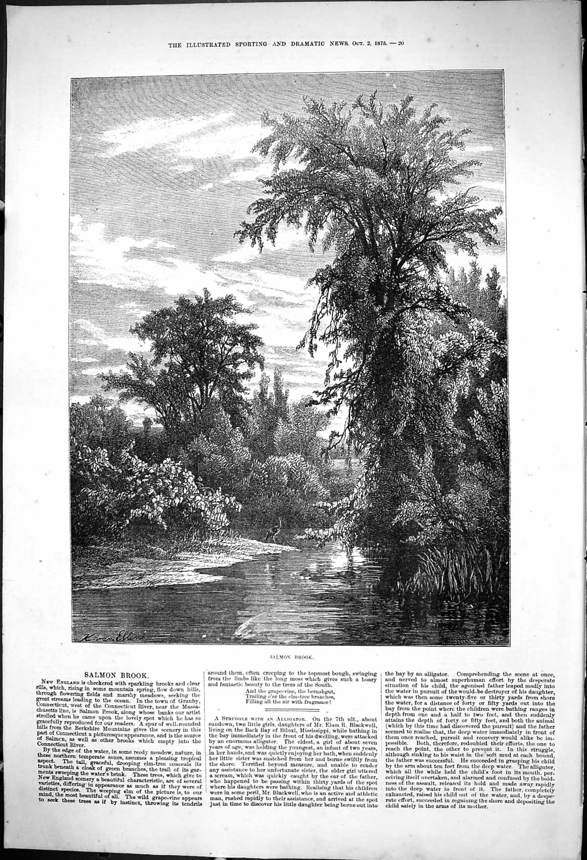 Original Old Antique Print 1875 Salmon Brook Fishing Connecticut River America