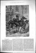 Original Old Antique Print 1875 Gentlemen Waiting Hunting Dogs Animals 19th