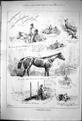 Antique Print 1875 Cambridgeshire Horse Racing Sport Stable Scene Trainers 19th