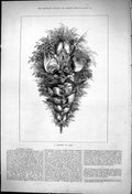 Original Old Antique Print 1875 Boquet Game Birds Hunting Sport 19th