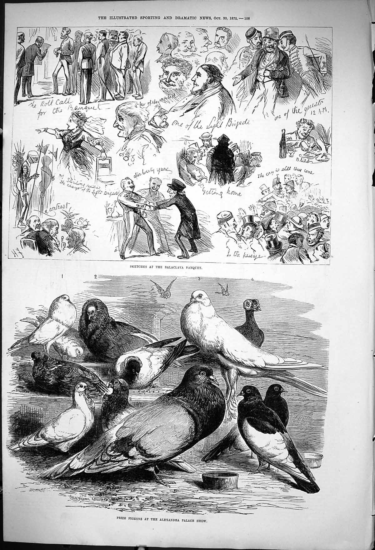 Old 1875 Balaclava Banquet Prize Pigeons Alexandra Palace Show Birds Victorian
