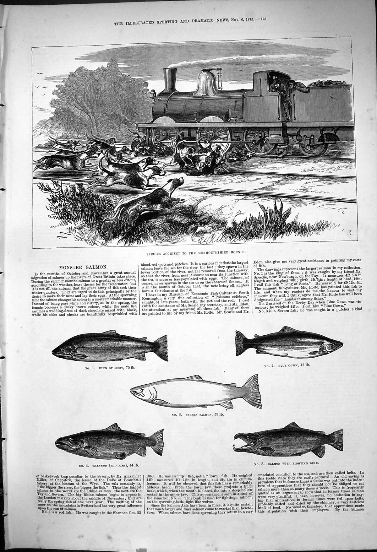 Old 1876 Train Crash Monmouthshire Hounds Dogs Salmon Fish King Scots Victorian