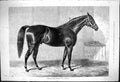 Old Antique Print 1875 Fathers English Stud Carnival Horse Stable Scene 19th