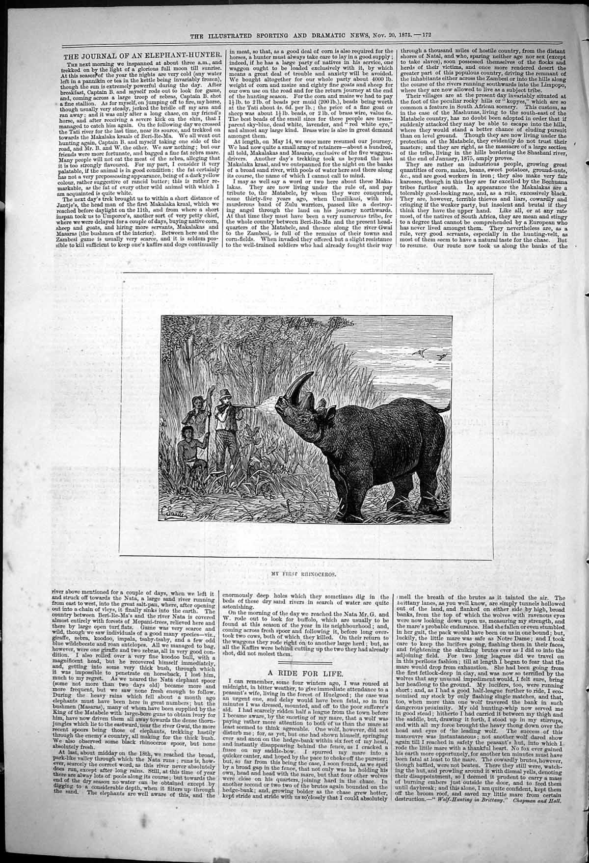 Antique Print 1875 Rhinoceros Hunting Sport Wild Animals Huntsmen Shooting 19th