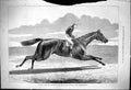 Old 1875 Sutton Horse Racing Mannington Cambridgeshire Winner Jockey Victorian