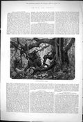 Original Old Antique Print 1875 Howdah Elephant Bolting Sport India Hunting