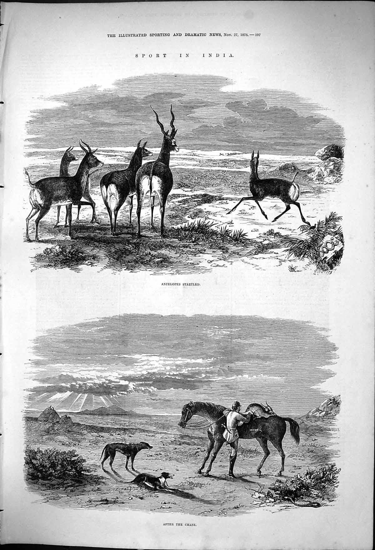 Old Antique Print 1875 Sport India Hunting Antelopes Hounds Dogs Horses 19th