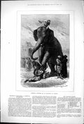 Antique Old Print 1875 Criminal Executed Elephant Standing Head Baroda India