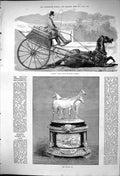 Old 1875 Osmond Patent Safety Balancing Dog Cart Croydon Cup Horse Ra Victorian