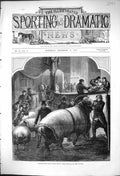 Old Antique Print 1875 Smithfield Club Cattle Show Arrival Animals Sheep 19th