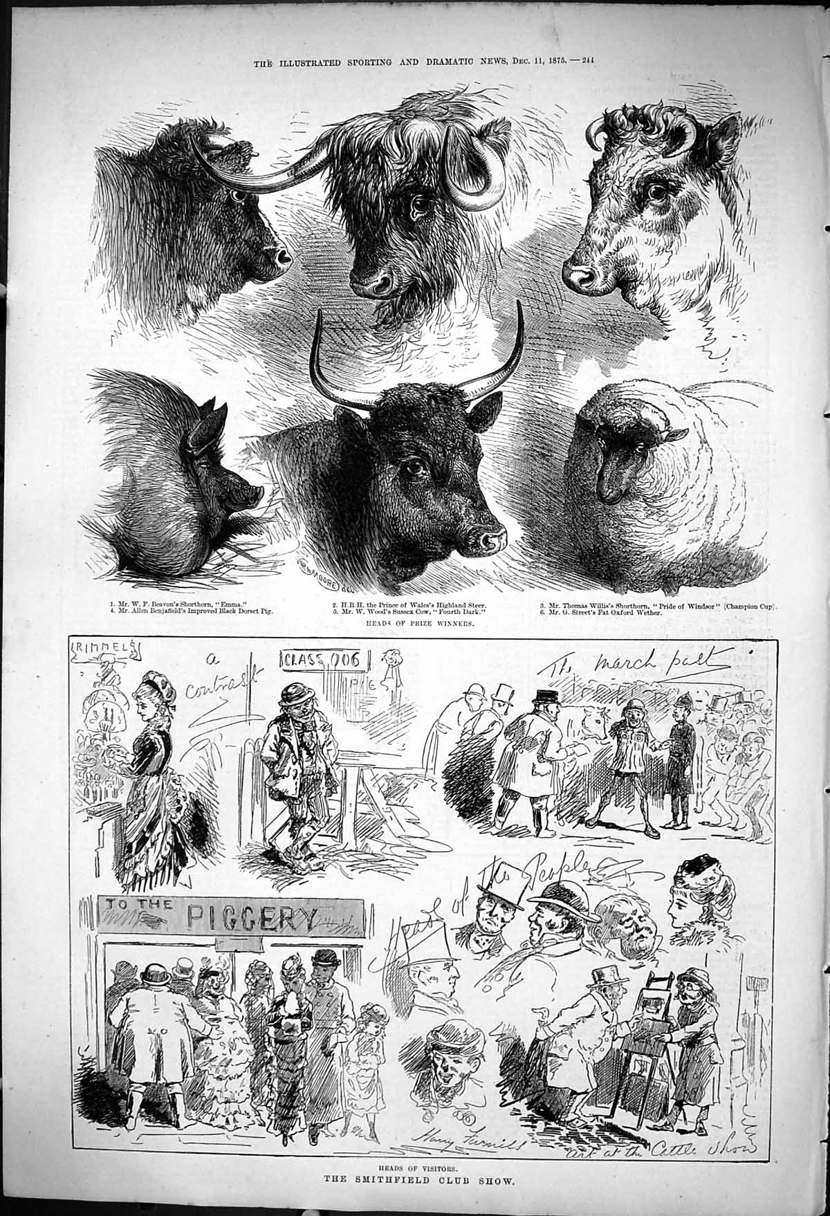 Old 1875 Smithfield Club Show Piggery Cows Sheep Shorthorn Emma Pride Victorian