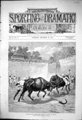 Original Old Antique Print 1875 Buffalo Fight Prince Wales Baroda Sport Animals