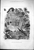 Antique Old Print 1876 Summer Winter Jardin Des Plantes Plants Animals Nature