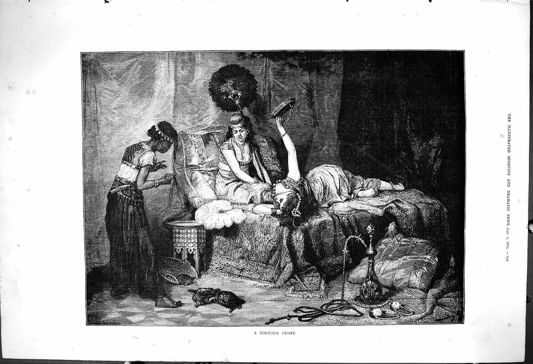 Original Old Antique Print Tortoise Fight Beautiful Woman Bedroom Scene 1876