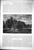 Old Antique Print 1876 Royal Tiger Supper Attacking Camel Castle Gorunds 19th