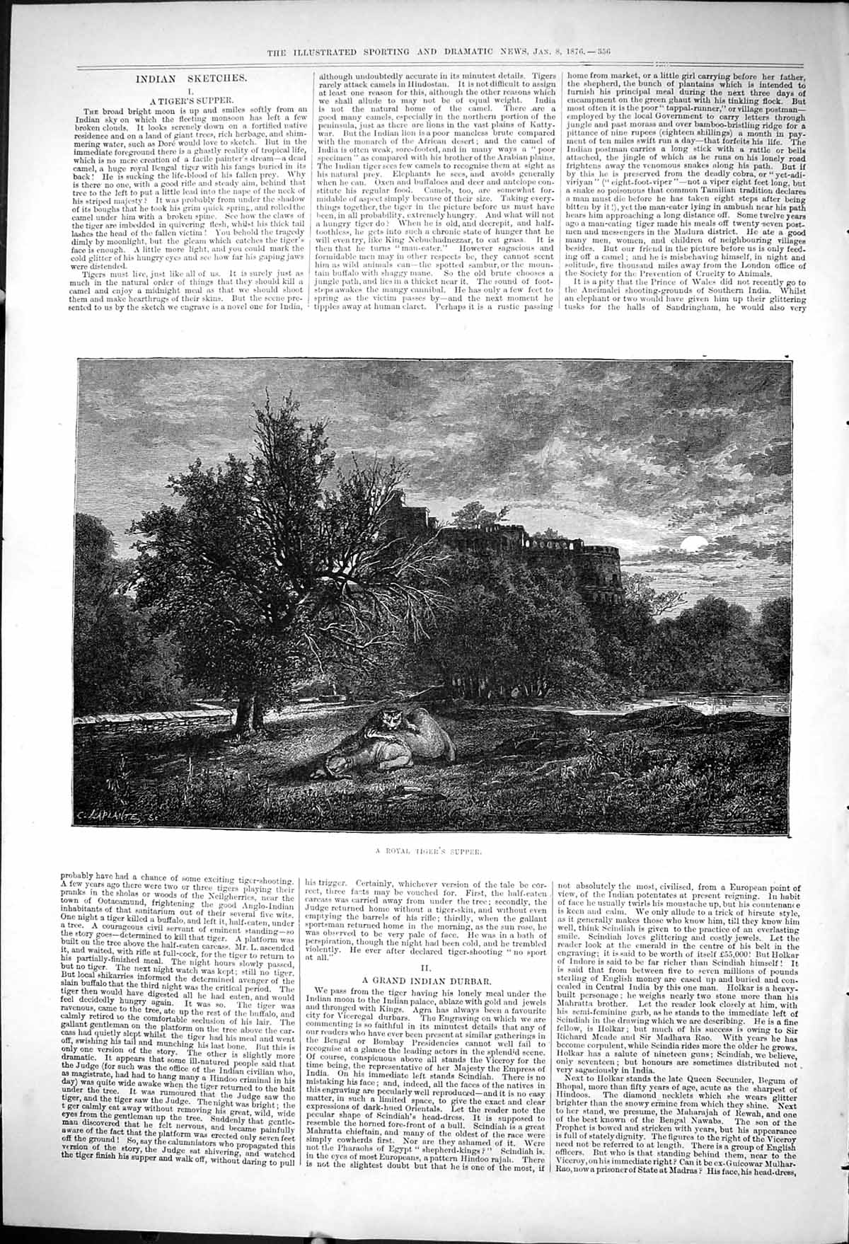 Old Antique Print 1876 Royal Tiger Supper Attacking Camel Castle Gorunds 19th