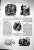 Old 1876 Gilbert White House Professor Bell Wryneck Bird Cottages Mou Victorian