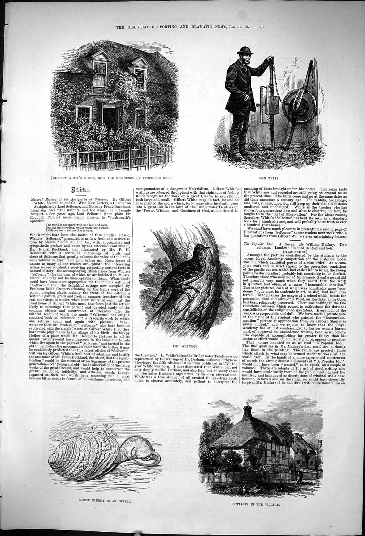 Old 1876 Gilbert White House Professor Bell Wryneck Bird Cottages Mou Victorian