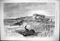 Antique Old Print 1876 Wild Goose Shooting Hunting Sport Bullock Cart Farmer