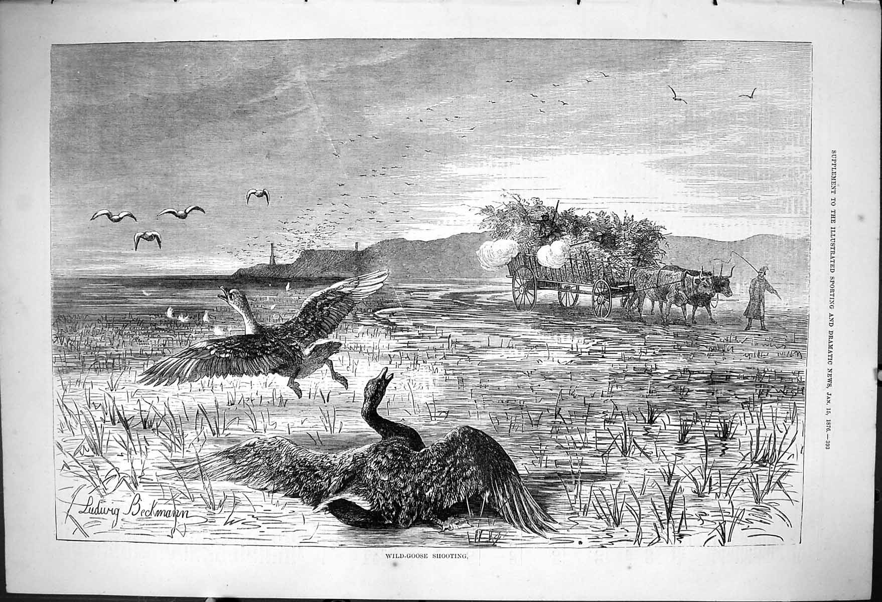 Antique Old Print 1876 Wild Goose Shooting Hunting Sport Bullock Cart Farmer