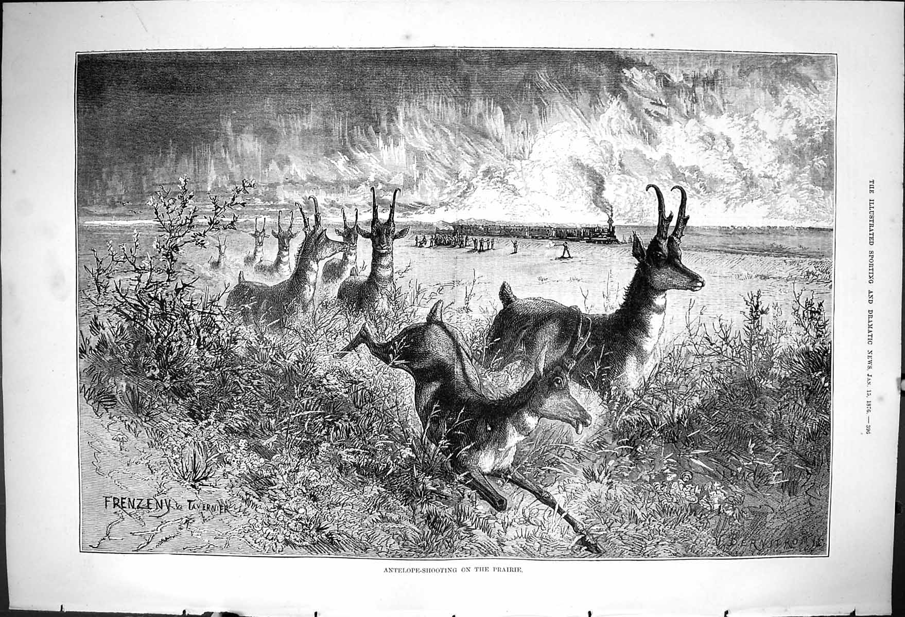 Original Old Antique Print 1876 Antelope Shooting Prairie Hunting Sport 19th