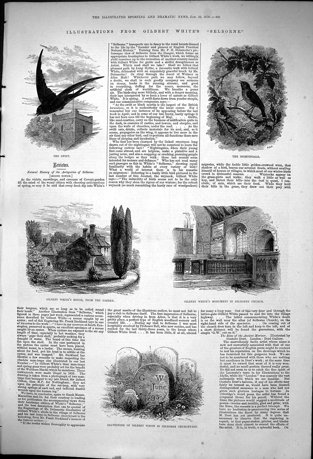 Old 1876 Swift Nightingale Birds Gilbert White Monument Selborne Chur Victorian