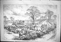 Old Antique Print 1876 Steeplechase Sketches Horses Jumping Jockeys Sport 19th