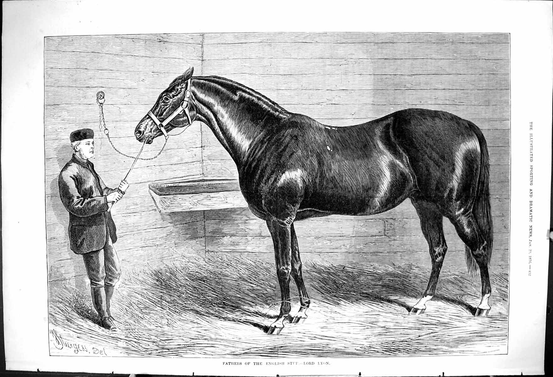 Original Old Antique Print 1876 Fathers English Stud Lord Lyon Horse Stable