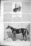 Old 1876 Portrait Anthony Rothschild Gladiateur Horse Derby Leger Gra Victorian