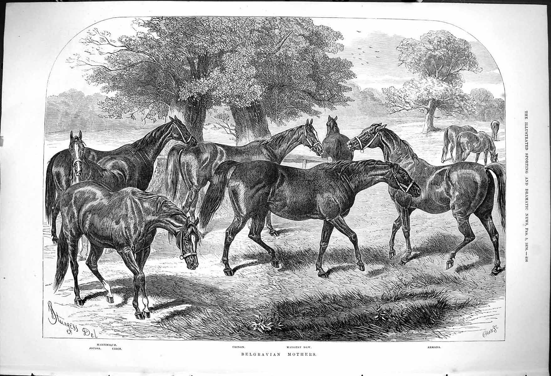 Old 1876 Belgravian Mothers Horses Armada Margery Daw Crinon Martiniq Victorian