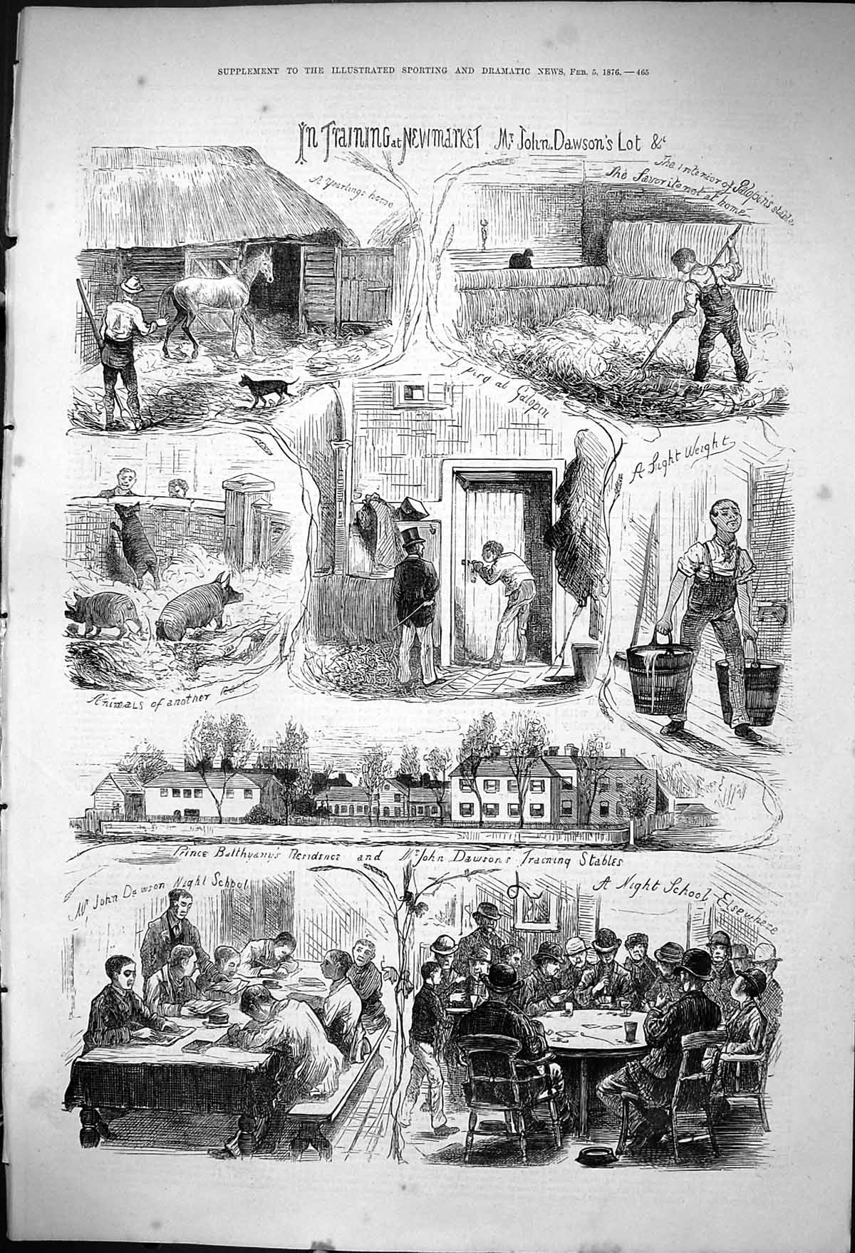 Old 1876 Horses Training Newmarket John Dawson Stables Pigs Night Sch Victorian