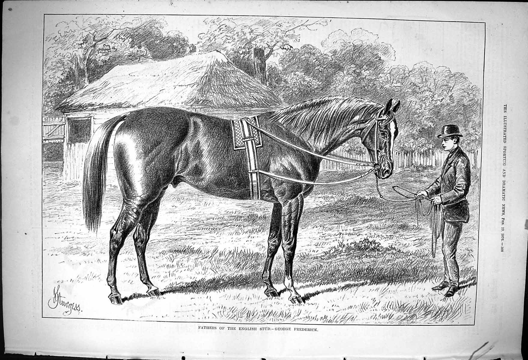 Antique Old Print 1876 Fathers English Stud Horse George Frederick Trainer 19th