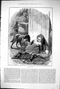 Original Old Antique Print 1876 Young Girl Strange Dog Animal Pet Victorian