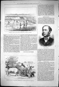 Old 1876 Lord Alington India Fishing Guzerat Bullock Cart Accident Ro Victorian