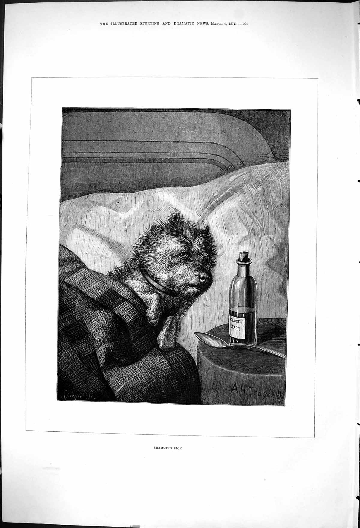 Old Antique Print 1876 Shaming Sick Dog Bed Medicine Who Said Rats Comedy 19th