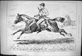 Old Print 1876 Shaughraun Horse Hunting Brown Mare Hounds Huntsmen Sport 19th