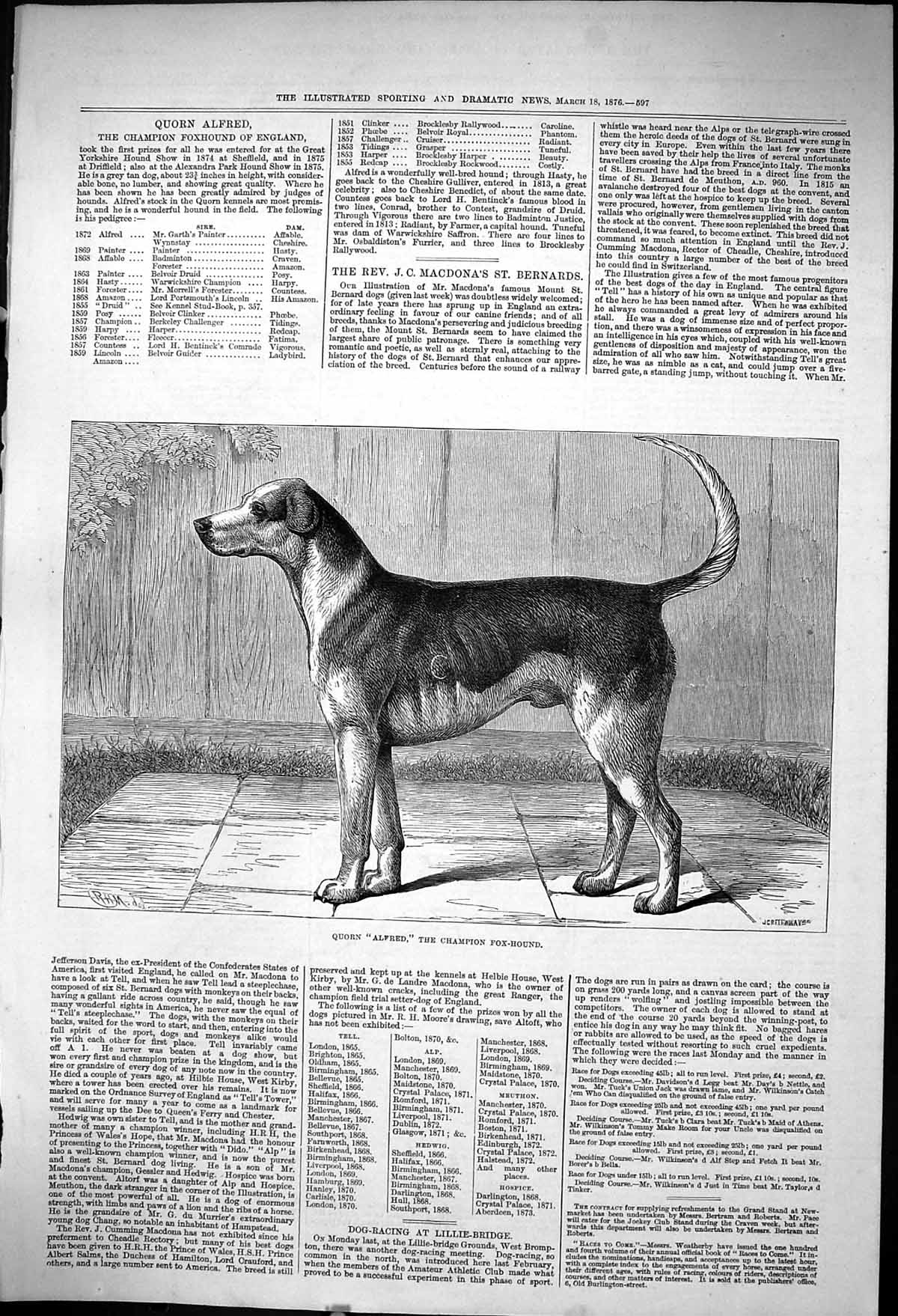 Old Antique Print 1876 Champion Fox Hound Quorn Alfred Hunting Dog Sport 19th