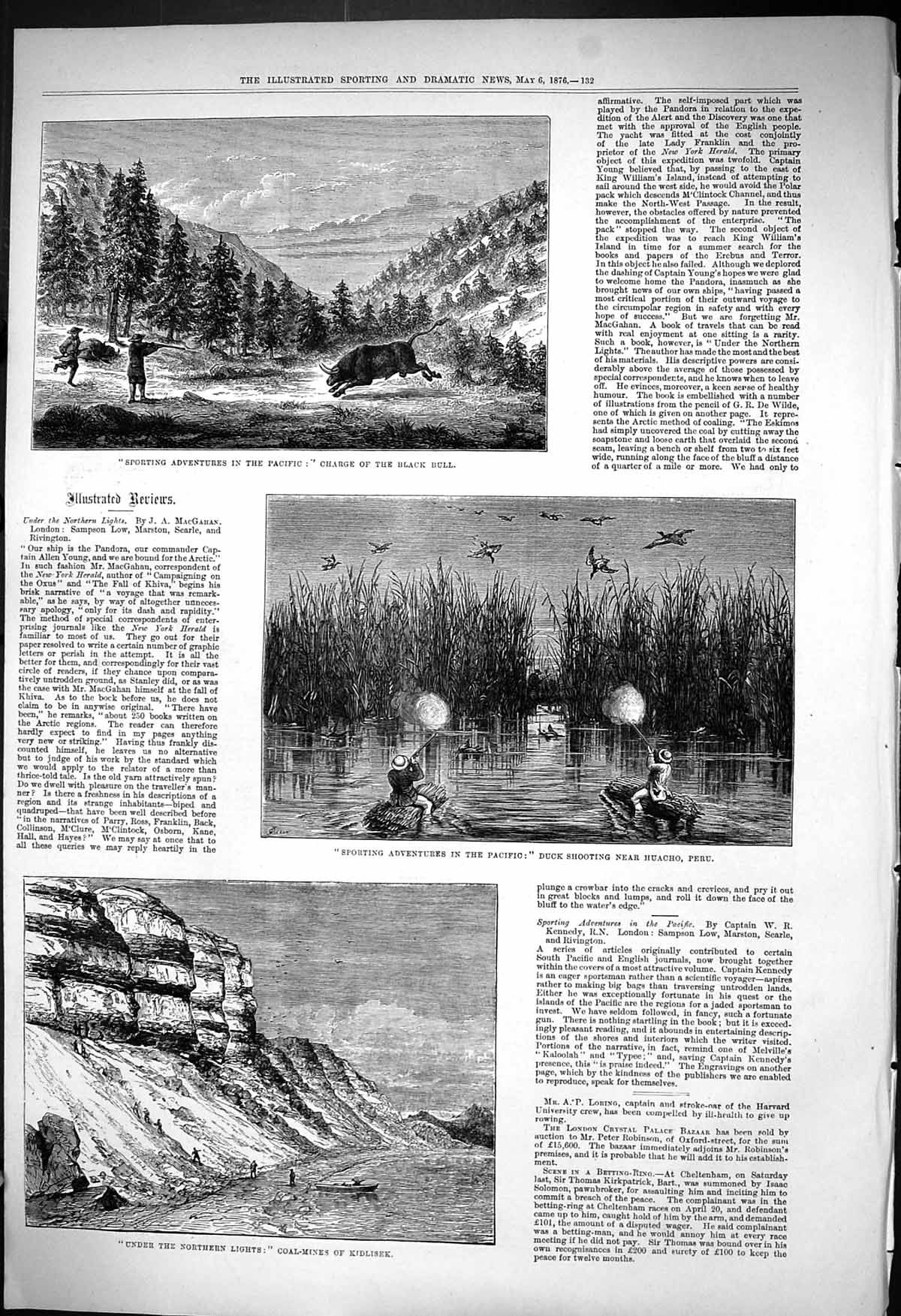 Old 1876 Sport Adventures Pacific Black Bull Duck Shooting Peru Coal Victorian