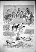 Antique Old Print 1876 Kennel Club Field Trials Dogs Hounds Rake Bang Jill 19th