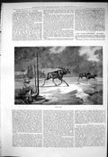 Original Old Antique Print 1876 Moose Deer Hunting Canada Sport 19th