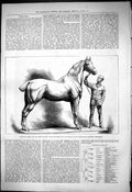 Old 1876 Quiet To Drive Has Been Hunted Sculpture Horse Royal Academy Victorian