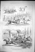 Old 1876 Pony Race Meeting Alexandra Park Horse Racing Muswell Hill H Victorian