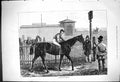 Original Old Antique Print 1876 Horse Jockey Before The Battle Start Line Sport