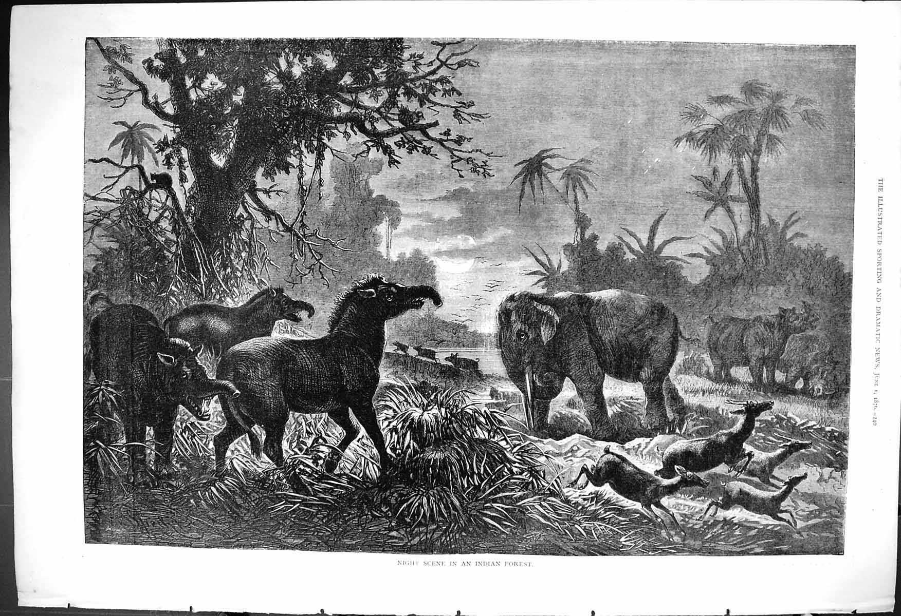 Antique Old Print 1876 Night Scene Indian Forest Elephants Animals Fine Art