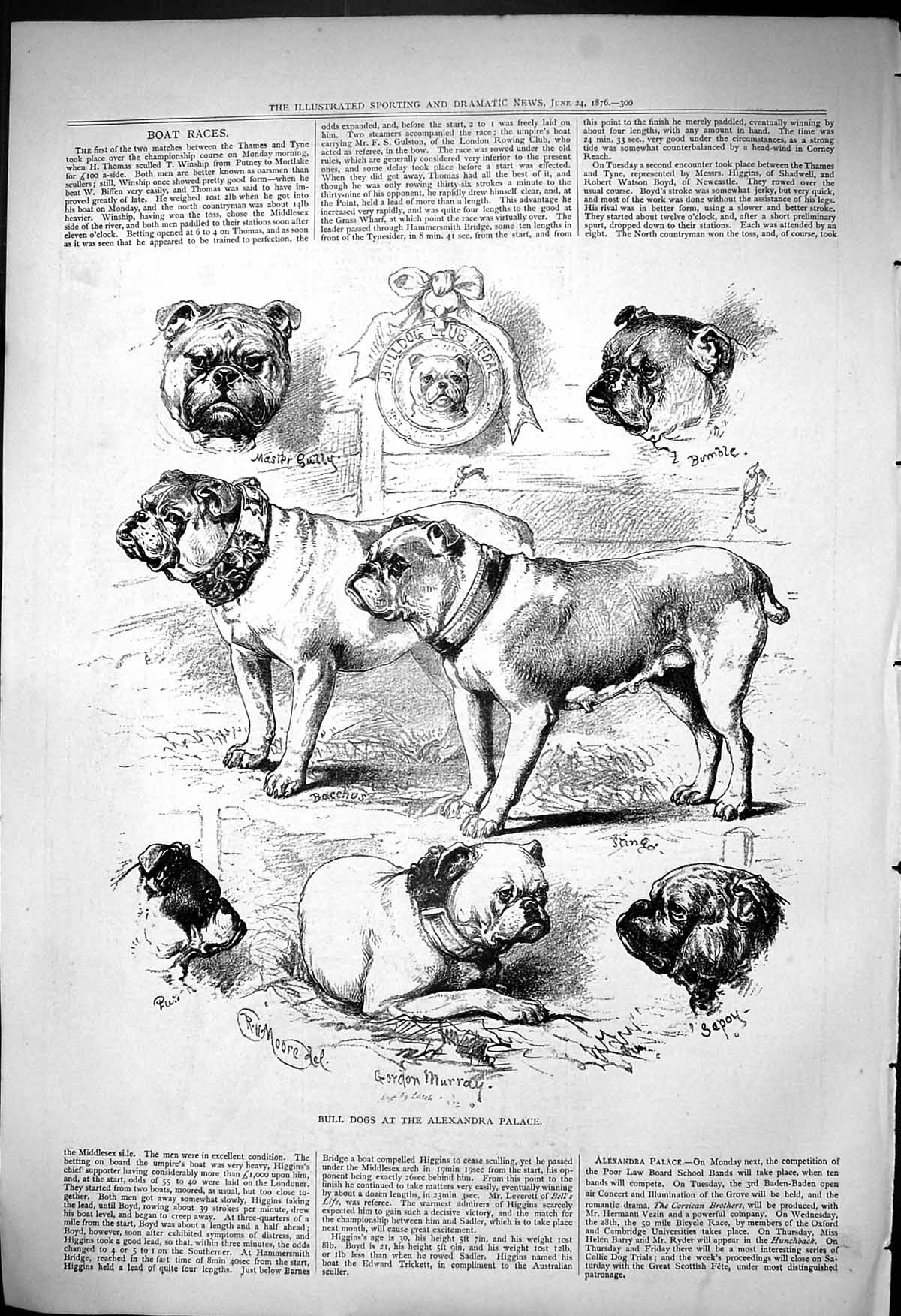 Old 1876 Bull Dogs Alexandra Palace Gordon Murray Bumble Master Gully Victorian