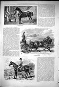 Old Antique Print 1876 Brougham Horse Light Weight Hunter Transport Coach 19th