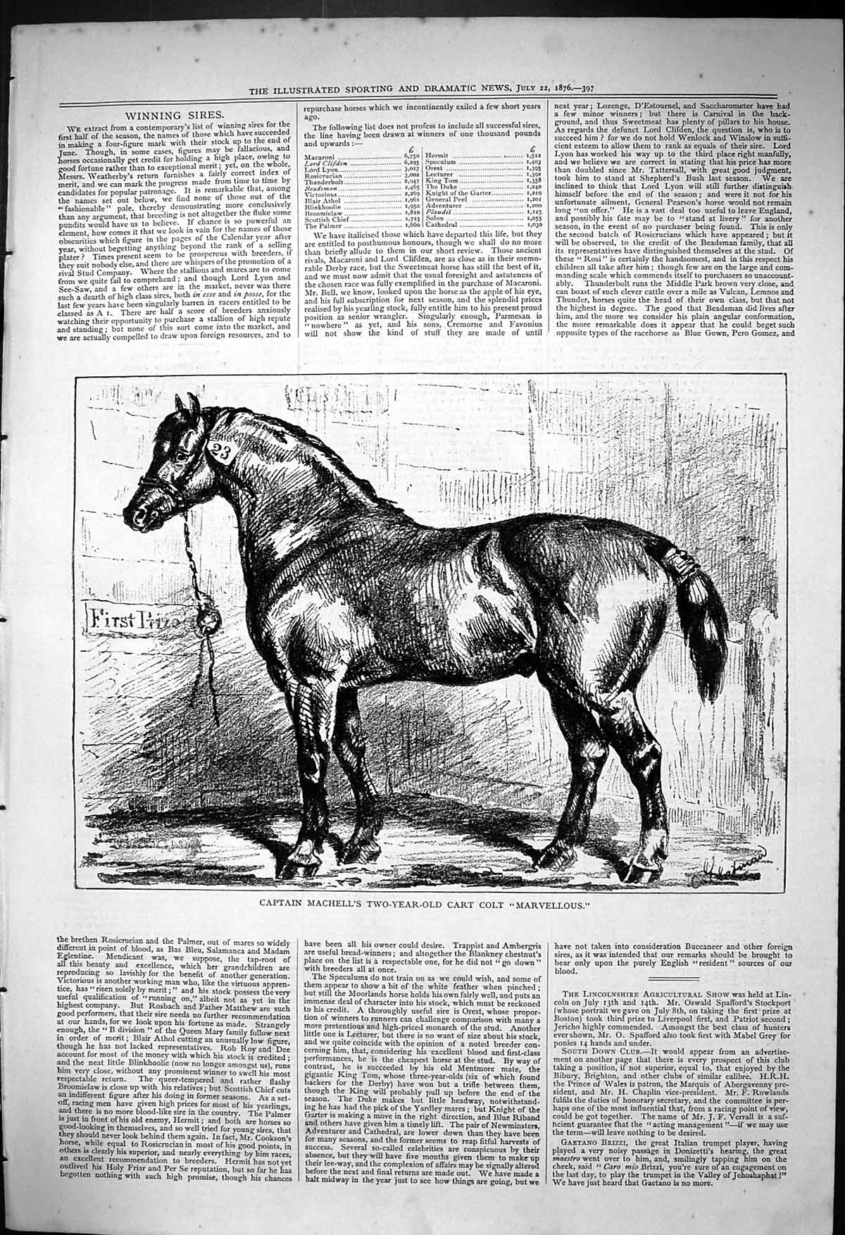 Antique Old Print 1876 Captain Machell Two-Year-Cart Colt Horse Marvellous 19th