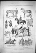 Old 1876 Texan Mustangs Horses Alaexandra Palace Captain Jack Master Victorian