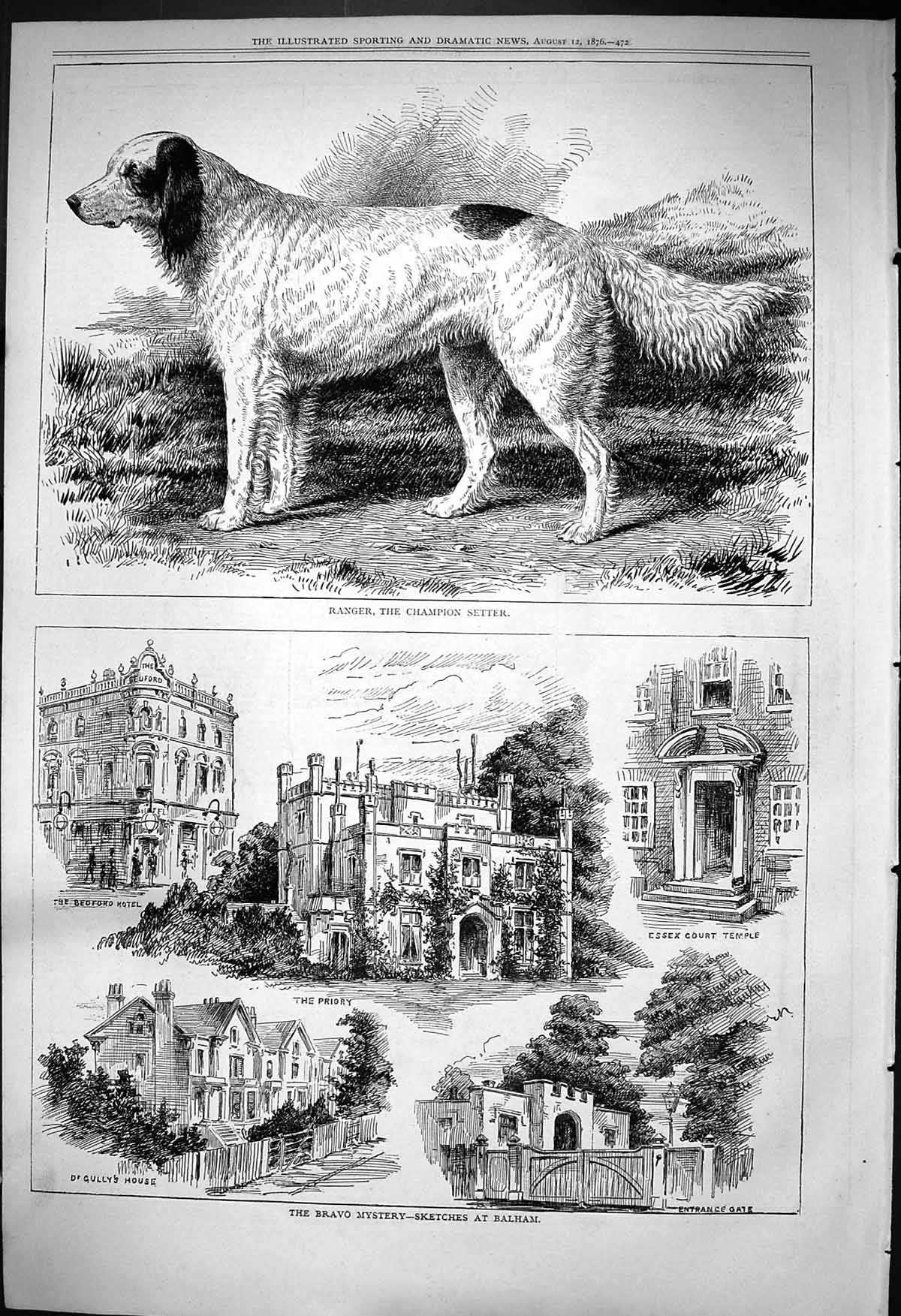 Old 1876 Ranger Champion Setter Dog Bravo Mystery Prioy Bedford Hotel Victorian